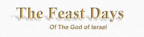 Feast Days Banner
