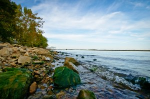 Mossy Rocks on the Lake Shore