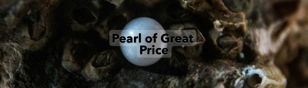 Has anyone ever tried to tell you that you are the "Pearl of Great" price? I had someone tell me that but is that what Jesus was referring to when he used the analogy of the Pearl of Great Price. Watch this week's live stream to find out what Jesus was really talking about.